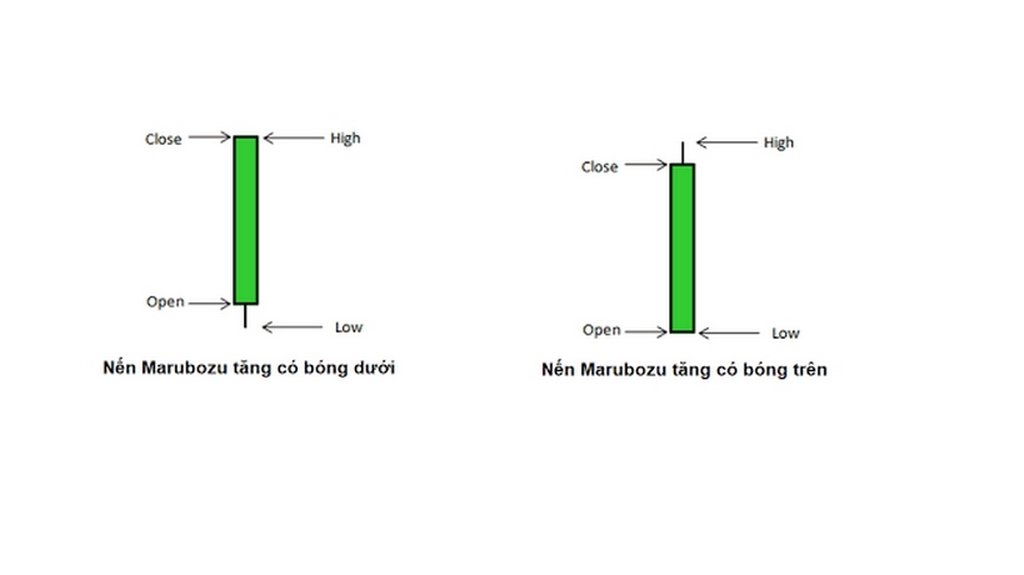 Nến Marubozu là gì? Giao dịch hiệu quả với mô hình maru