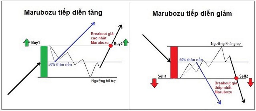 Nến Marubozu là gì? Giao dịch hiệu quả với mô hình maru