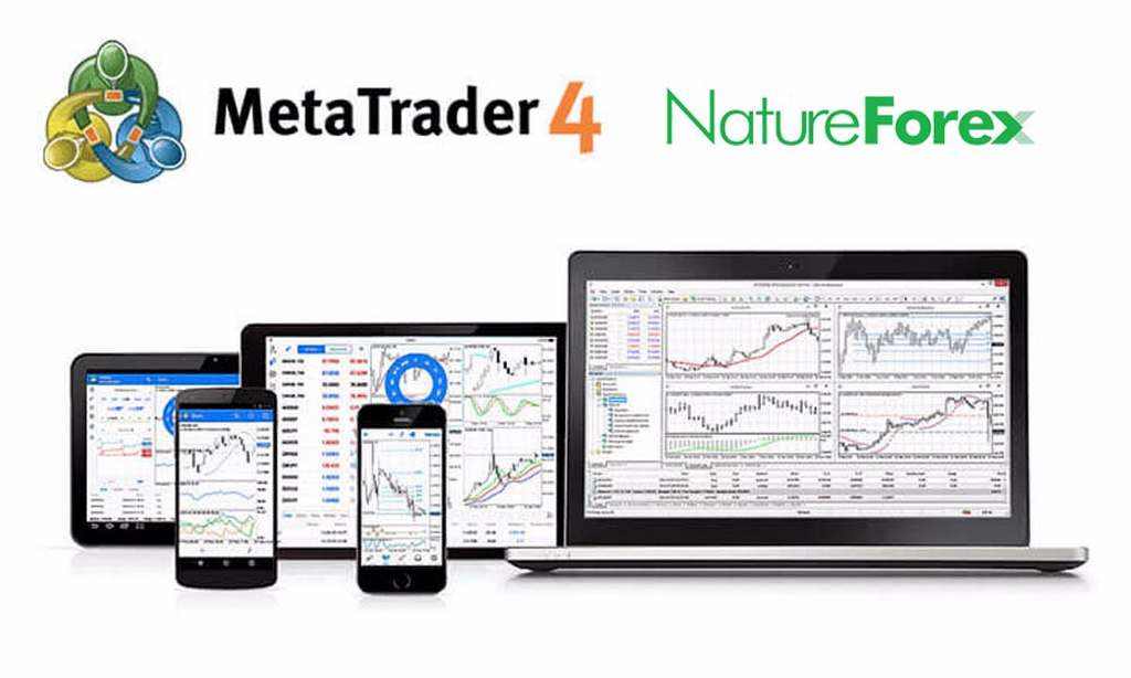 NatureForex là gì? Nên hay không đầu tư vào NatureForex?