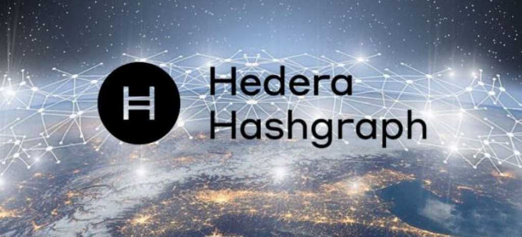 hedera