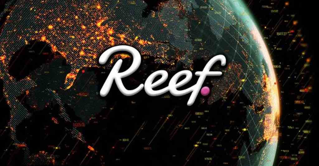 reef coin